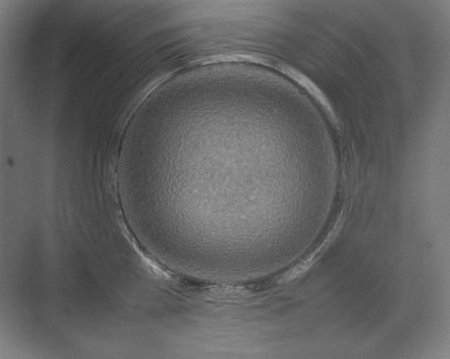 X0000074970809200609011214