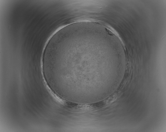 X0000074970811200609011214