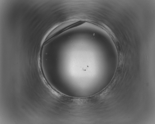 X0000074970812200609011214