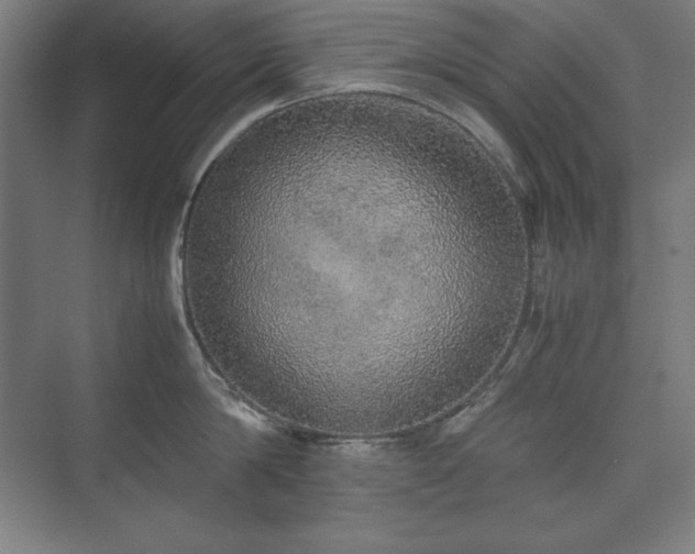 X0000074970814200609011214