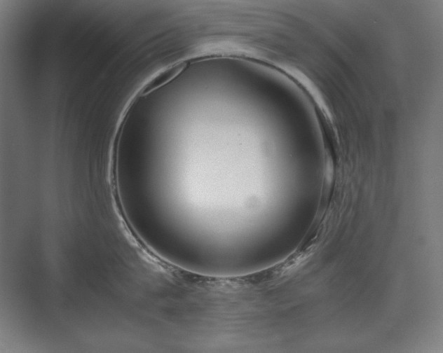 X0000074970815200609011214