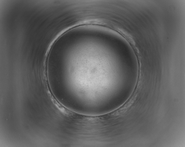 X0000074970816200609011214