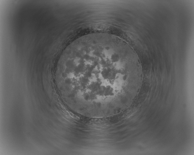 X0000074970817200609011213