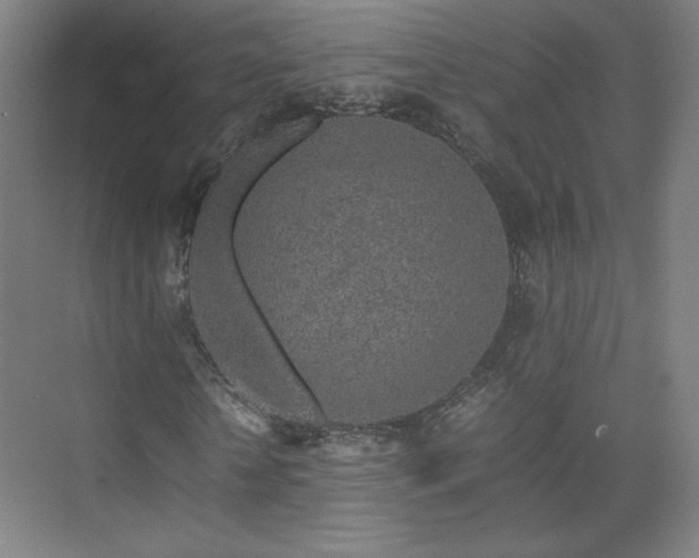 X0000074970818200609011213