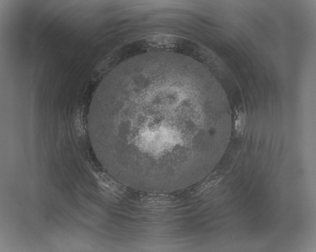 X0000074970819200609011213