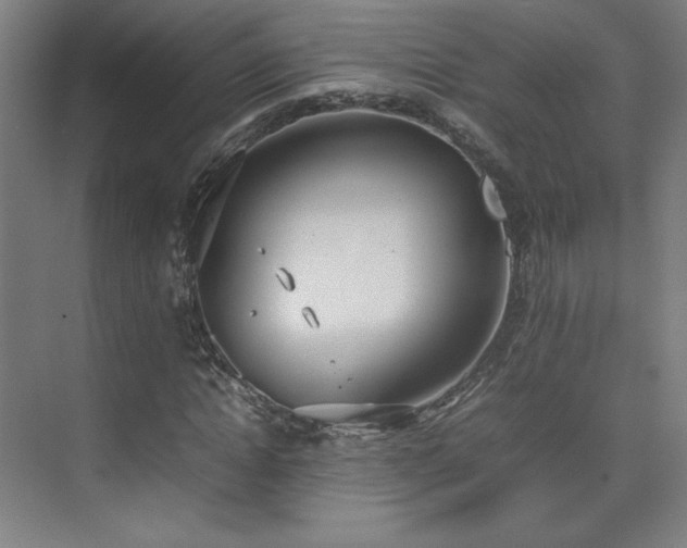 X0000074970822200609011213