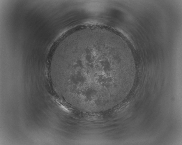 X0000074970823200609011213