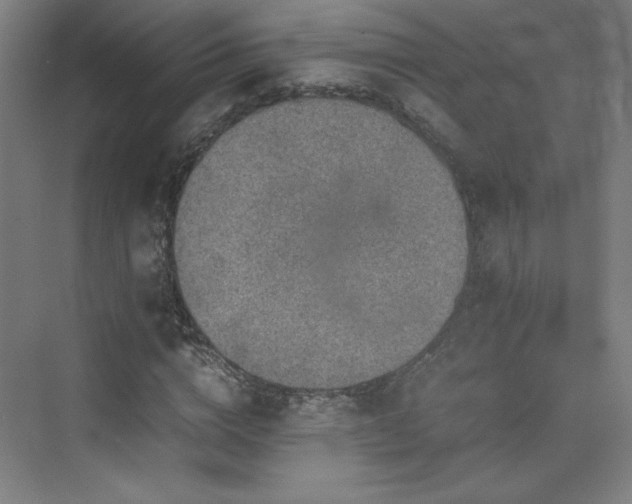 X0000074970824200609011213