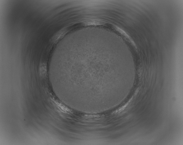 X0000074970825200609011213