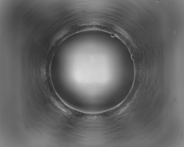 X0000074970826200609011213