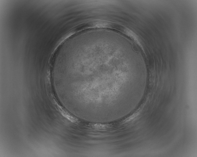 X0000074970827200609011213