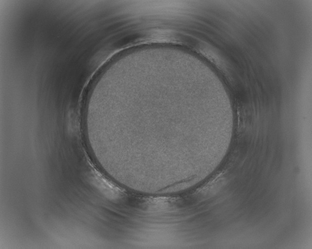 X0000074970828200609011213