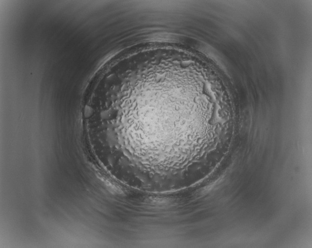 X0000074970829200609011213