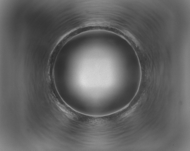 X0000074970830200609011213