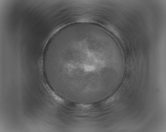 X0000074970831200609011213