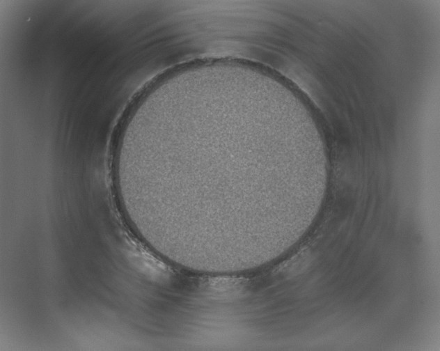 X0000074970832200609011213