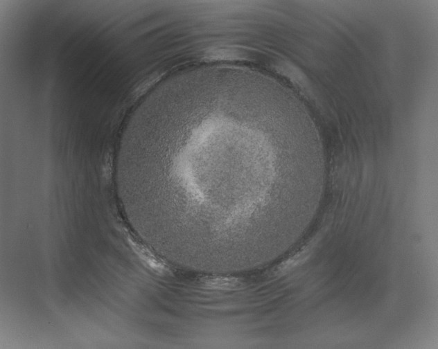 X0000074970833200609011213