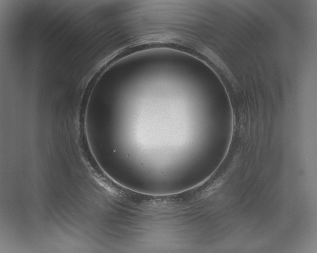 X0000074970834200609011213