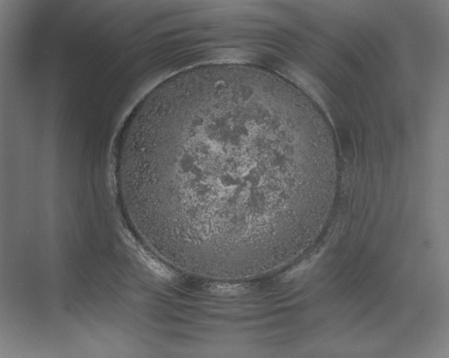 X0000074970835200609011213