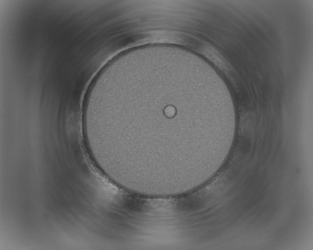 X0000074970836200609011214