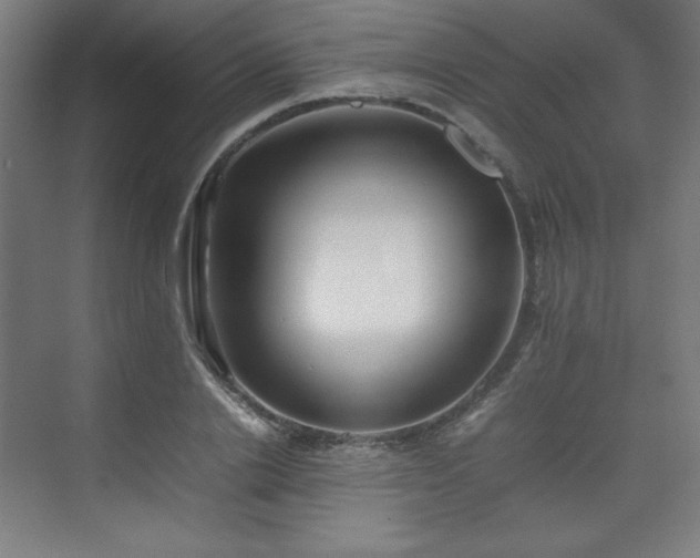 X0000074970838200609011214