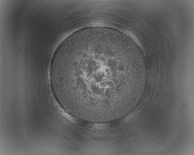 X0000074970839200609011214