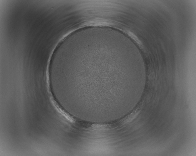 X0000074970840200609011214