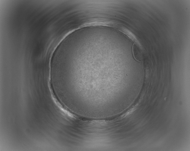 X0000074970844200609011214