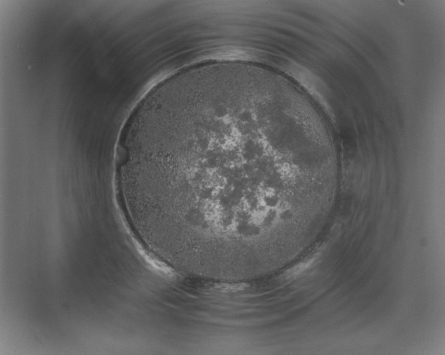 X0000074970845200609011214