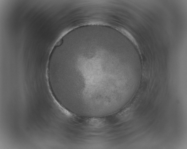 X0000074970847200609011214