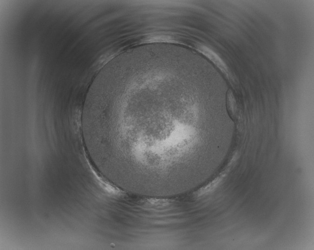 X0000074970849200609011214