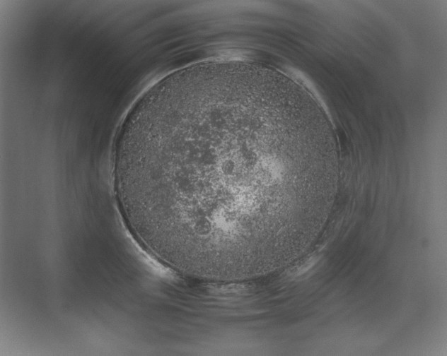 X0000074970851200609011214