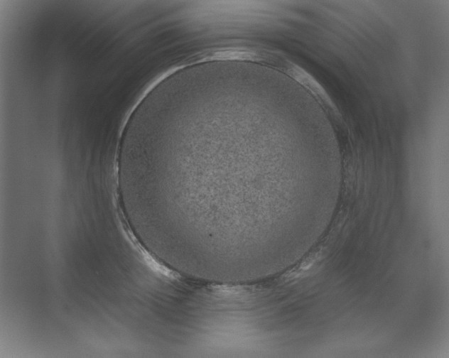 X0000074970852200609011214