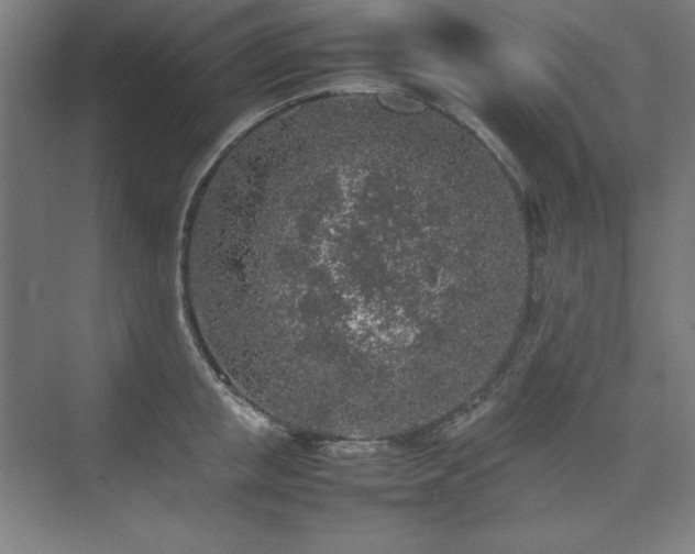 X0000074970853200609011214