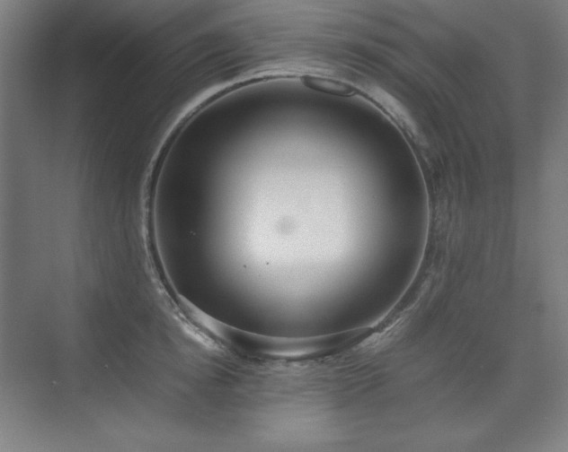 X0000074970854200609011214