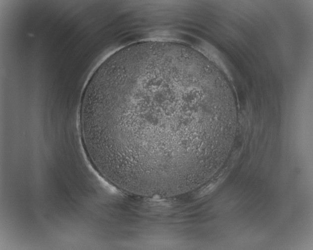 X0000074970855200609011214