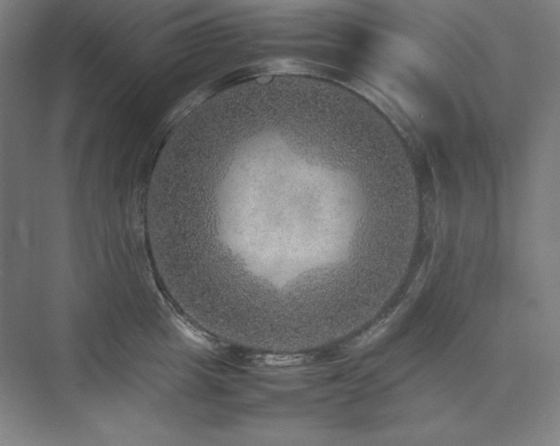 X0000074970857200609011214