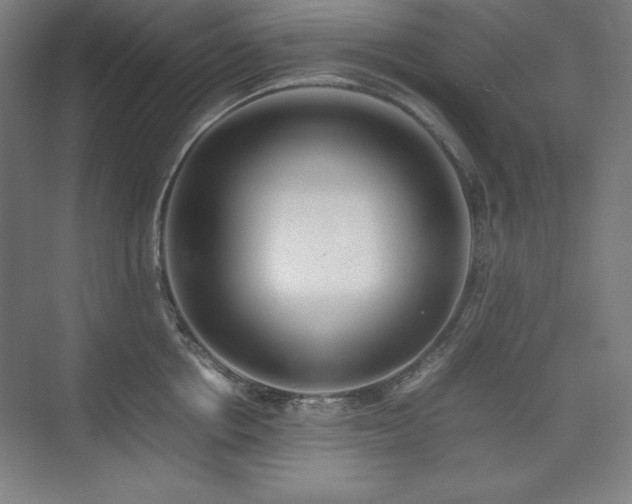 X0000074970858200609011214