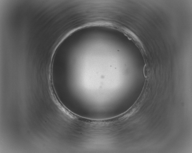 X0000074970860200609011214