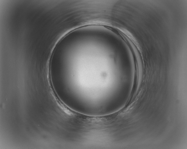 X0000074970862200609011214