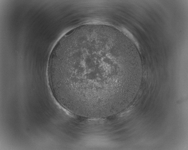 X0000074970863200609011214