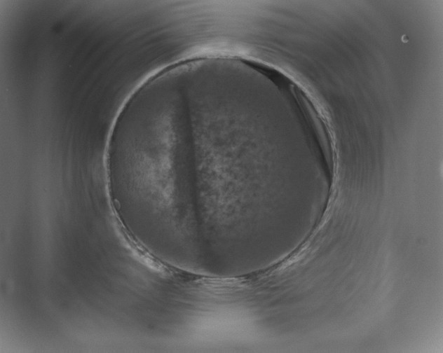 X0000074970864200609011214