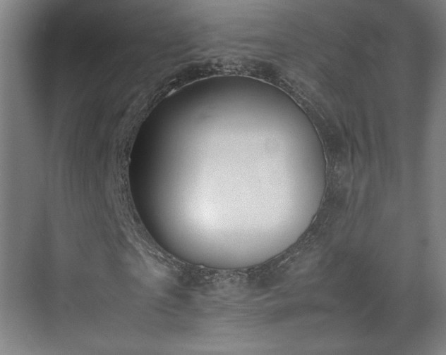 X0000074970865200609011213