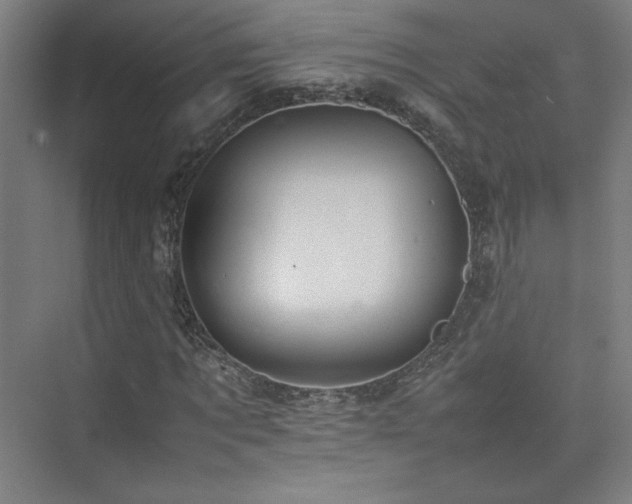 X0000074970869200609011213