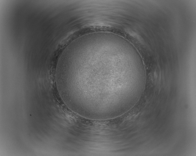 X0000074970870200609011213