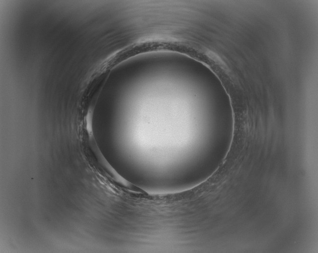 X0000074970872200609011213