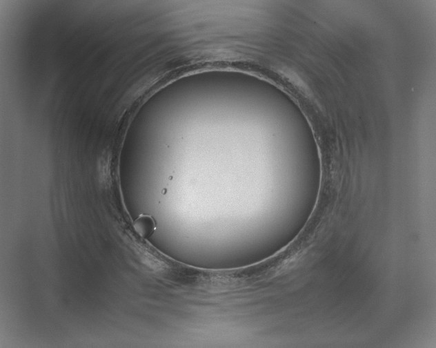 X0000074970873200609011213