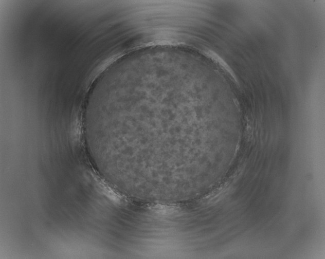 X0000074970874200609011213