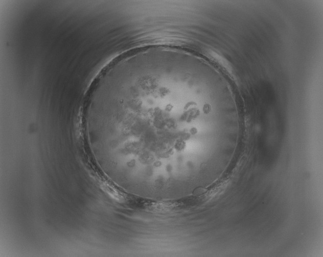 X0000074970875200609011213