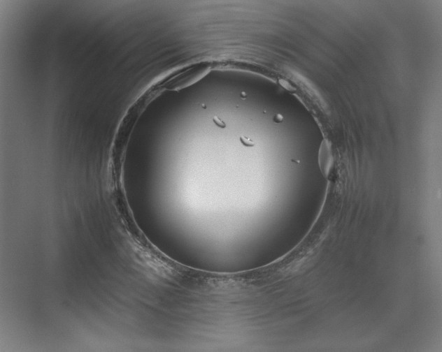 X0000074970876200609011213